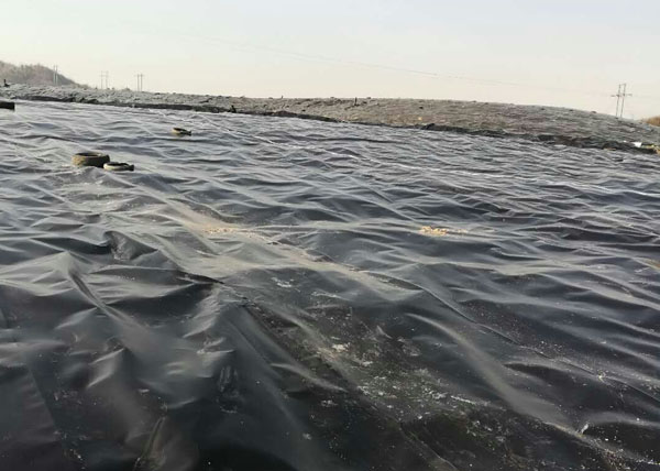 �������w����Ĥ